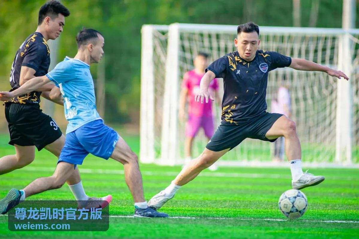 尊龙凯时官方版等级成长深度解读配图